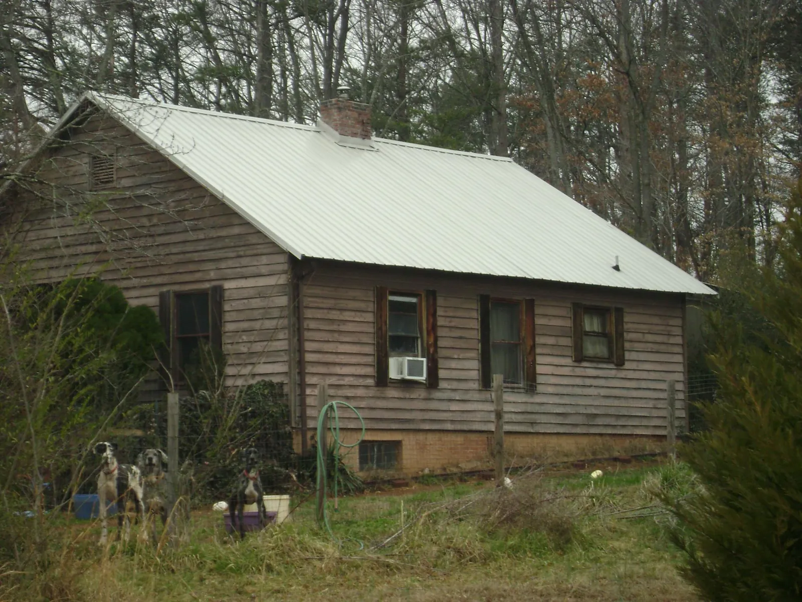 White metal roof on an old wood sided farmhouse, from a Metal Roof Installation job in Lincoln City